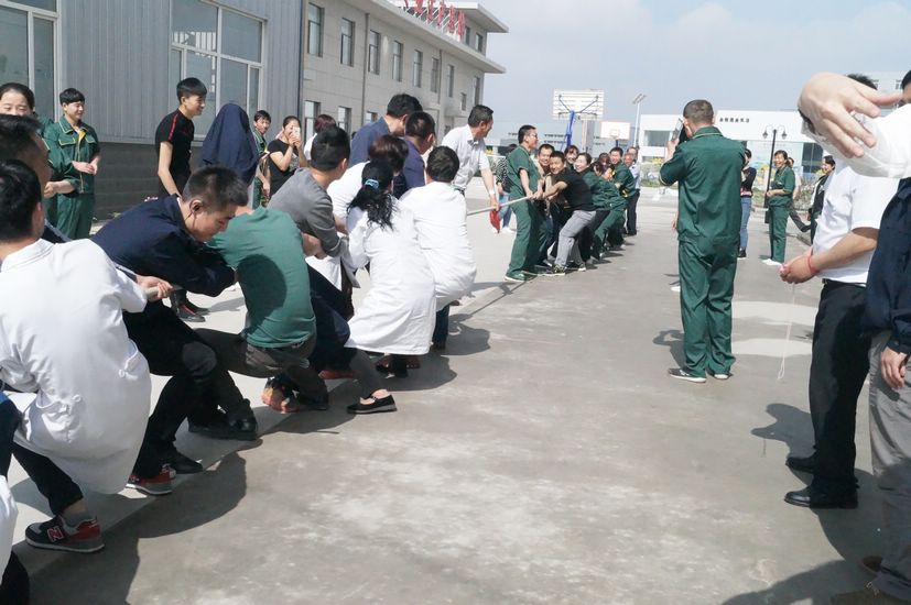 銀川伊百盛生物工程有限公司 銀川伊百盛生物工程有限公司