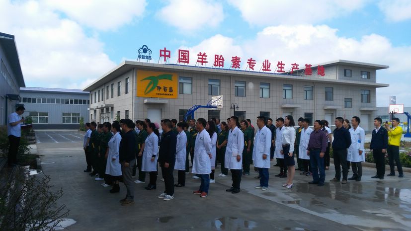 銀川伊百盛生物工程有限公司 銀川伊百盛生物工程有限公司