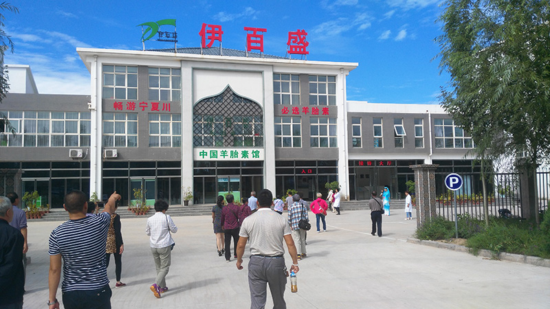 銀川伊百盛生物工程有限公司 銀川伊百盛生物工程有限公司