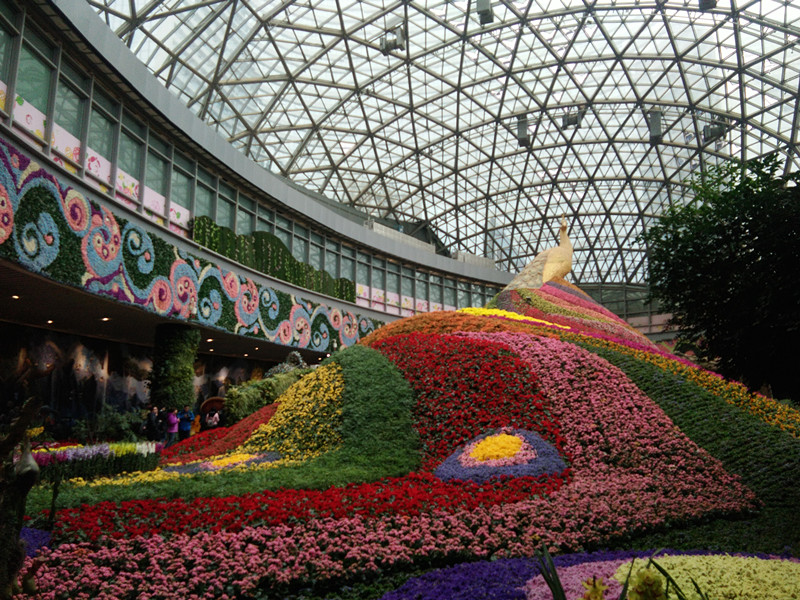 銀川伊百盛生物工程有限公司 銀川伊百盛生物工程有限公司