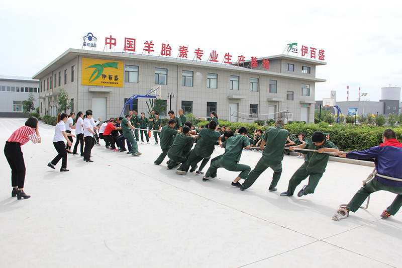銀川伊百盛生物工程有限公司 銀川伊百盛生物工程有限公司