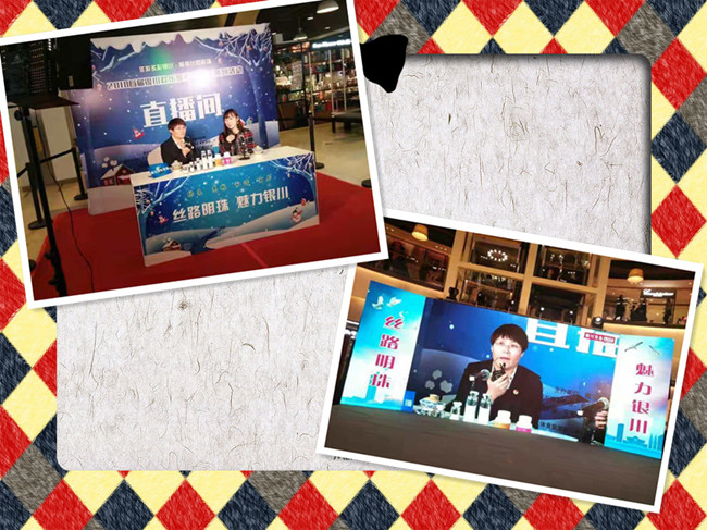 銀川伊百盛生物工程有限公司 銀川伊百盛生物工程有限公司