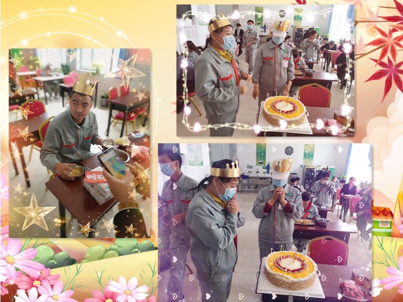 銀川伊百盛生物工程有限公司 銀川伊百盛生物工程有限公司