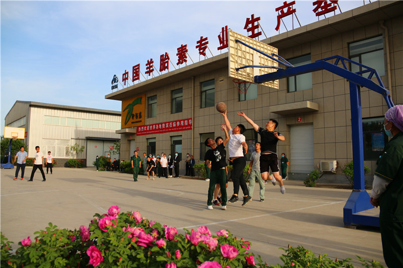 銀川伊百盛生物工程有限公司 銀川伊百盛生物工程有限公司