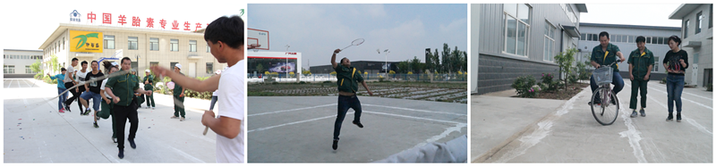 銀川伊百盛生物工程有限公司 銀川伊百盛生物工程有限公司