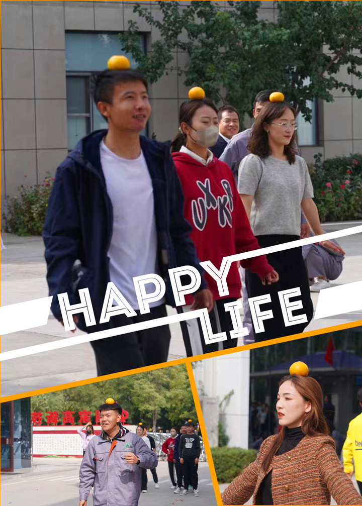 銀川伊百盛生物工程有限公司 銀川伊百盛生物工程有限公司