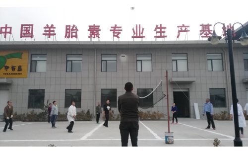 排球傳溫情，員工齊聚心