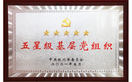 喜報！伊百盛黨支部榮獲“五星級基層黨組織”稱號